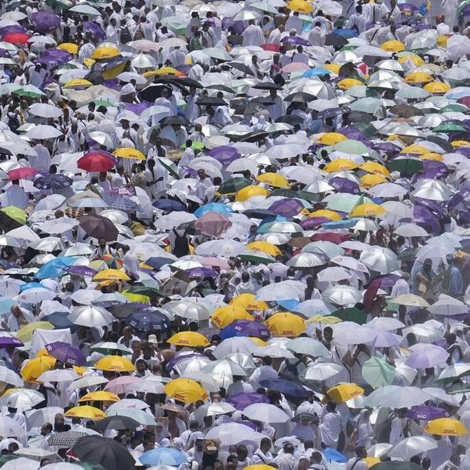 CLIMATE GLIMPSE: Scorching Northern Hemisphere heat leads to deaths and wildfires